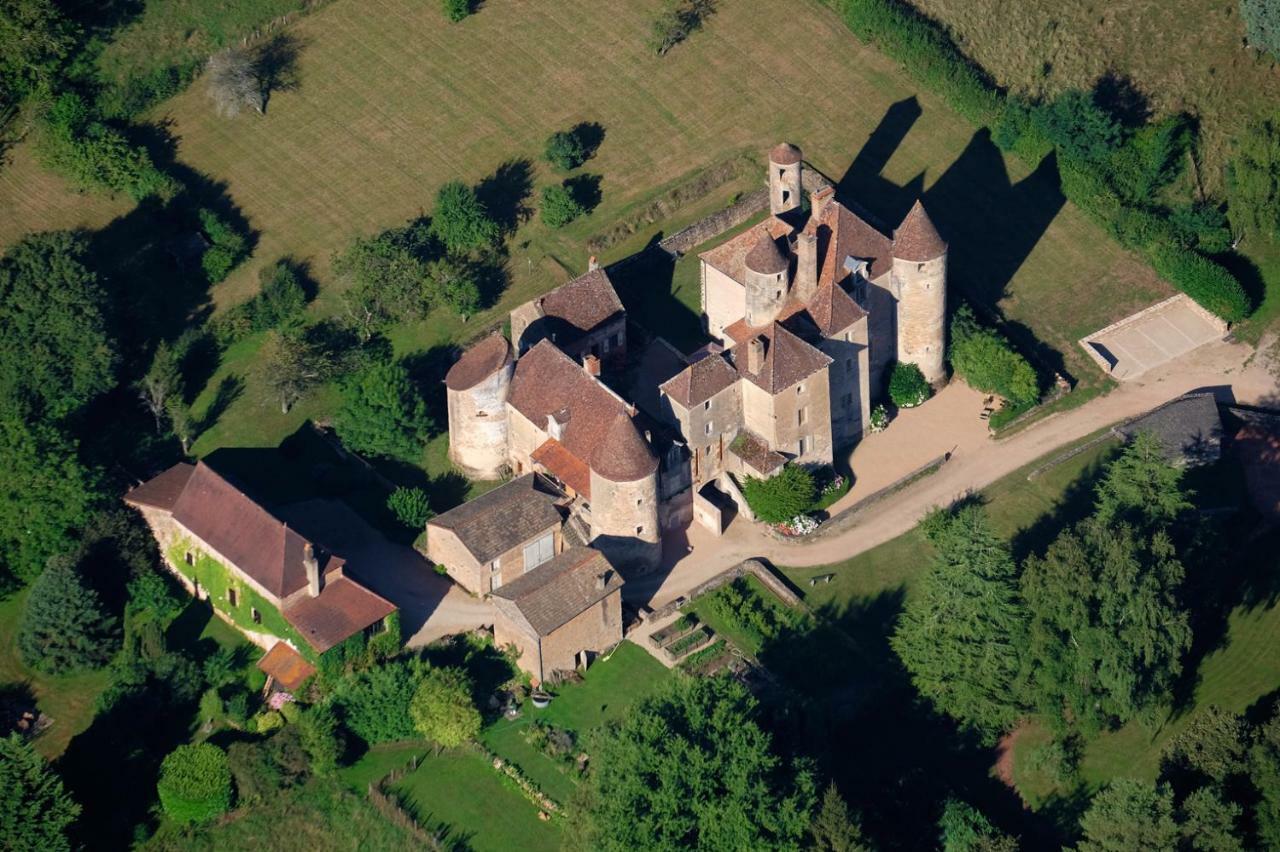 Chateau De Balleure Etrigny Екстер'єр фото