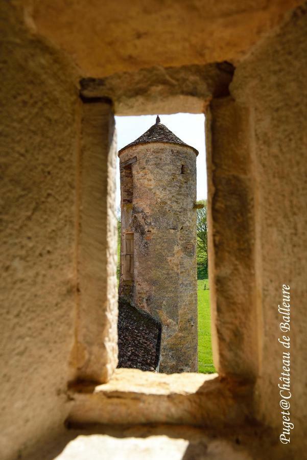 Chateau De Balleure Etrigny Екстер'єр фото