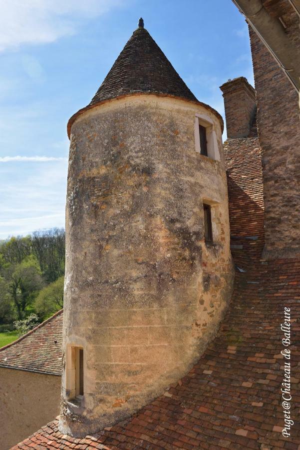 Chateau De Balleure Etrigny Екстер'єр фото